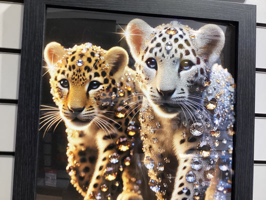 Baby tigers 40X40 AN2576 FN39 BLACK PLAIN